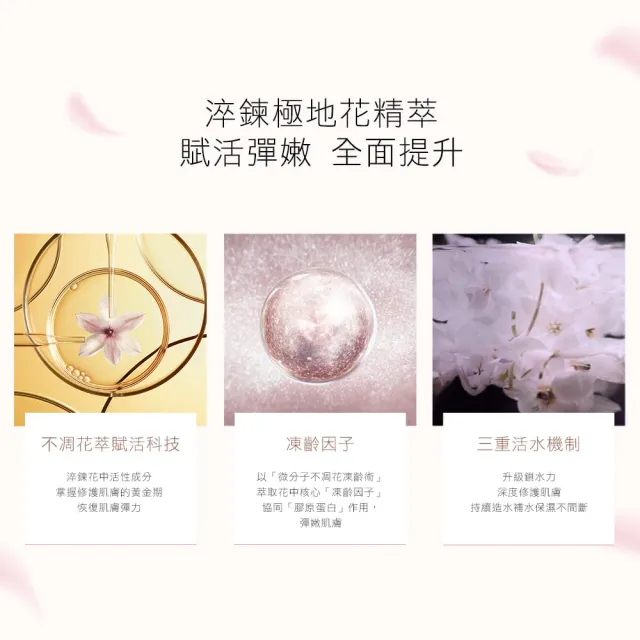 【Estee Lauder 雅詩蘭黛】白金花秘無痛入手組(白金級極萃賦活花秘乳霜15ml)