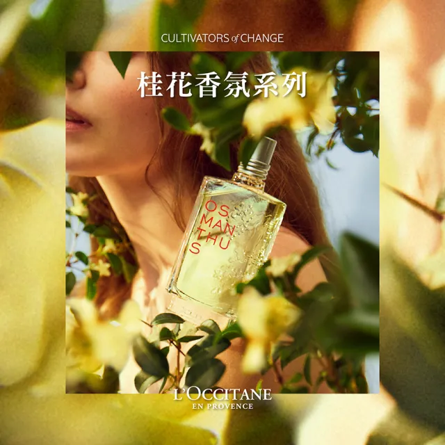 【L’Occitane 歐舒丹】官方直營 桂花沐浴膠/沐浴乳250ml