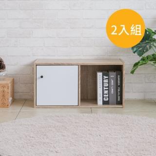【TZUMii】簡約韓風一格一門櫃-2入 雙色可選(書櫃 置物櫃 收納櫃 層櫃 空櫃 門櫃 隔間櫃)