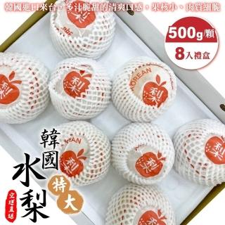 【WANG 蔬果】嚴選韓國大顆水梨(8入禮盒_500g/顆)(中秋禮盒)