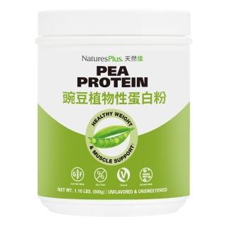 【美國 NaturesPlus 天然佳】有機豌豆植物性蛋白粉 1入(1入/500公克 美國USDA有機認證)