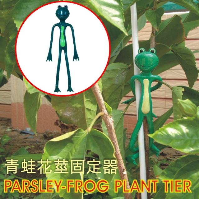 【金德恩】12隻-青蛙造型 園藝樹枝 固定器(藤蔓 植物夾 花莖夾 裝飾)