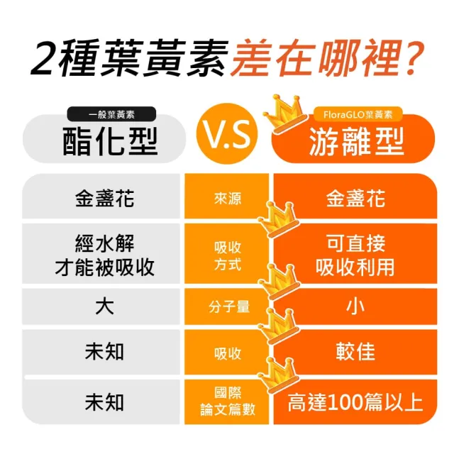 【LOHAS 優活】E優視-單入組(60粒/盒 全素可食 游離型葉黃素 透明質酸鈉 金盞花萃取物 花青素)
