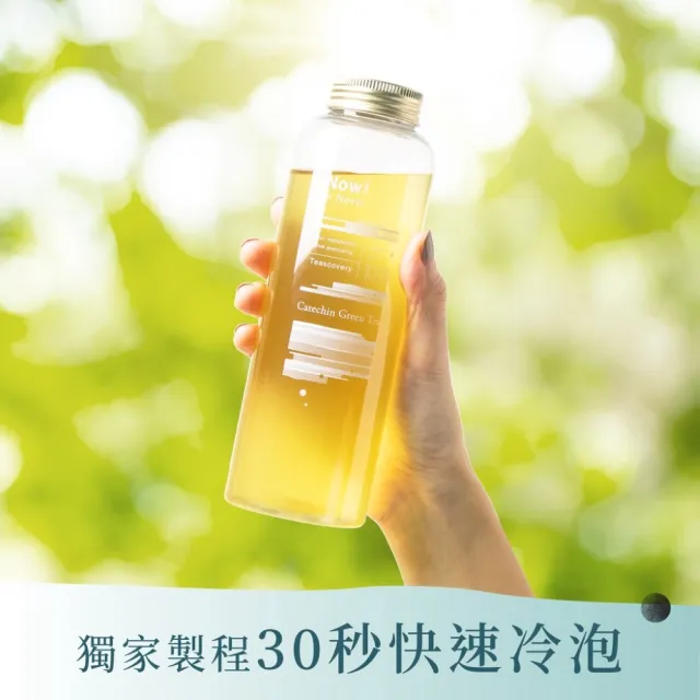 【Teascovery 發現茶】2盒兒茶素綠茶 (30入/盒;促進新陳代謝;冷泡茶包)