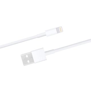 【Apple副廠】AirPods系列 Lightning to USB-A 連接線-1M(密封裝)