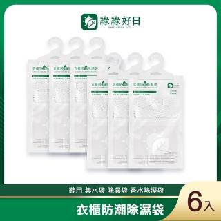 【Have Green Days 綠綠好日】衣櫃防潮除濕袋 6入(吊掛式除溼袋 除濕包鞋用)