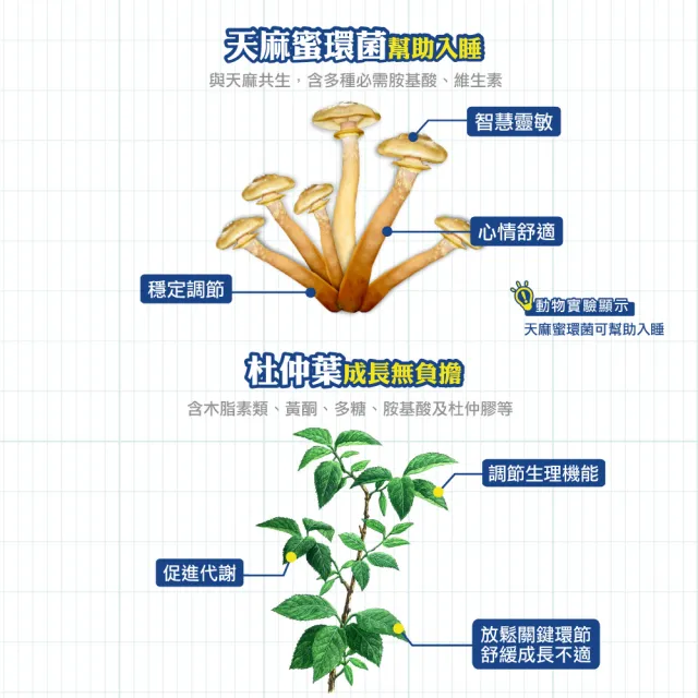 【順天本草】長大人成長套組正宗版3盒組-男方.女方任選(每盒含成長膠囊60顆*2+金智慧王30顆*2+成長御膳4包