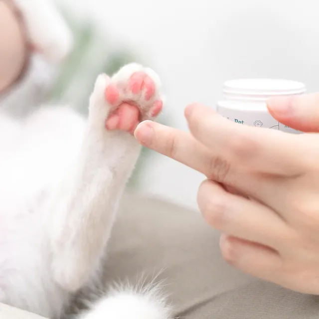 【PROUDPET 嬌寵醫生】毛孩肉球保養霜 30g(寵物肉球保養/貓狗趾間不適/犬貓肉球保濕)