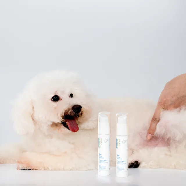 【PROUDPET 嬌寵醫生】蠶絲蛋白肌平衡精華 30ml(寵物保養/貓狗皮膚保養/護膚保濕/犬貓皮膚健康)