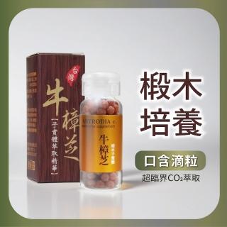 【聖力達生技】頂級牛樟芝子實體-舌下吸收精華(10年椴木培養4.6g/瓶/約180粒)