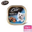 【Cesar 西莎】經典風味餐盒 100g*6入 寵物/狗罐頭/狗食