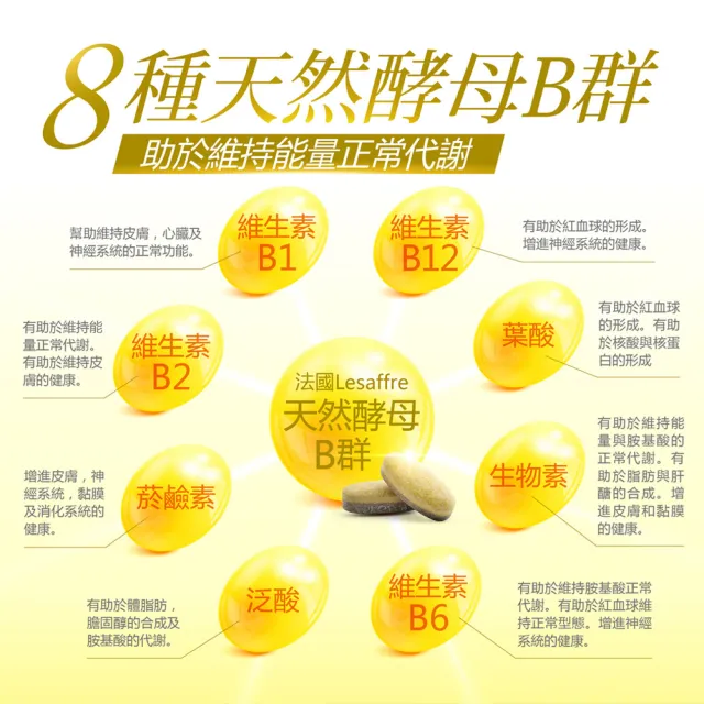 【健康力】法國天然酵母B群活力錠60錠/瓶 徐若瑄代言(全素 長效緩釋 紅景天 五味子 鋅)