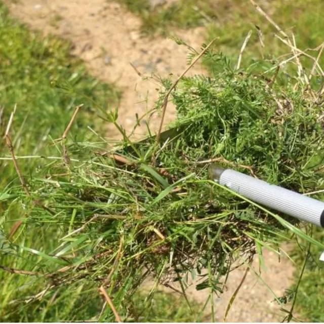 【綠色職人】21齒除草耙(除草.翻土.鬆土)