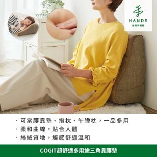 【台隆手創館】COGIT超舒適多用途三角靠腰墊(坐墊 腰靠墊 午睡枕 抬腿枕)