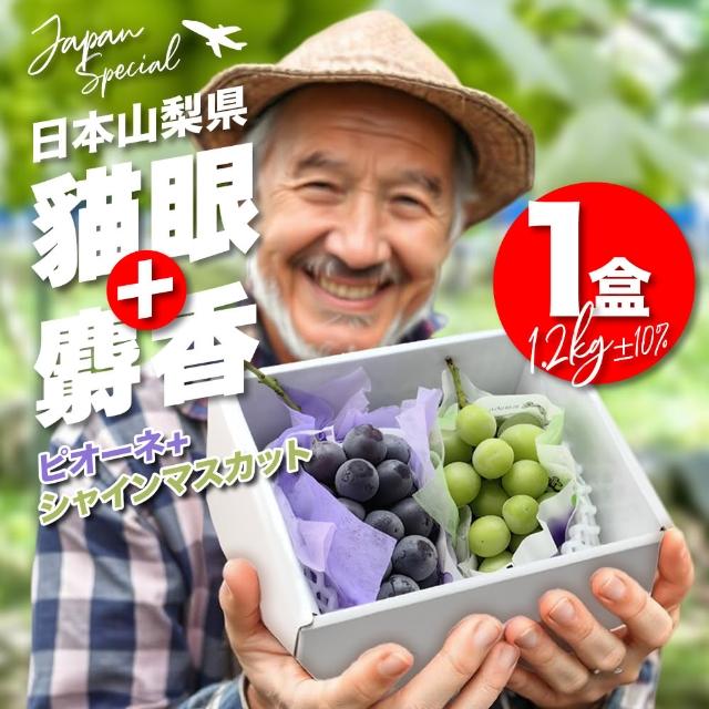 【果樹寶石】日本山梨貓眼葡萄＋山梨麝香葡萄x1盒（約1100克/盒）(日本專機直送 超值擁有)