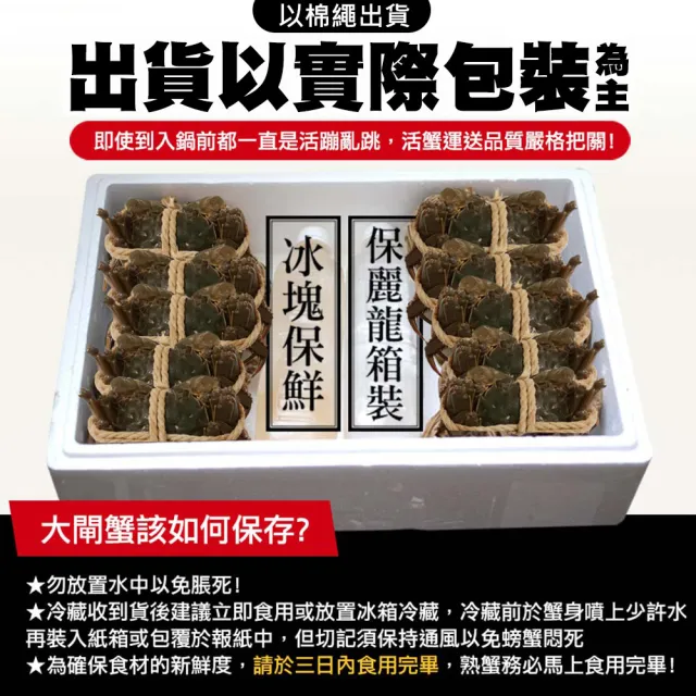 【優鮮配】滿滿蟹黃鮮活江南-母 大閘蟹8隻(4兩/隻-加碼工具組)