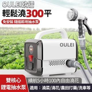【OULEI歐鐳】電動農業用抽水機 超長續航打藥機(澆水器 抽水機 澆菜機 洗車機 抽水泵)