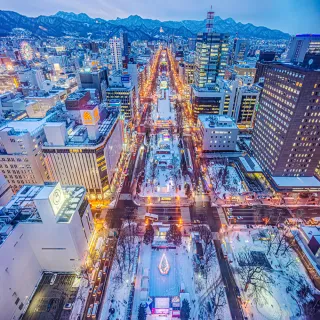 【喜鴻假期】【雪舞紛飛北海道５日】雪飄夜景、企鵝散步、三合一戲雪趣、北國彩燈祭、三蟹溫泉