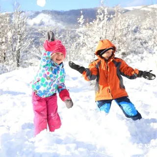 【喜鴻假期】【不進人蔘保肝．雙戲雪首爾５日】滑雪體驗、採草莓、愛寶樂園、升等一晚五星