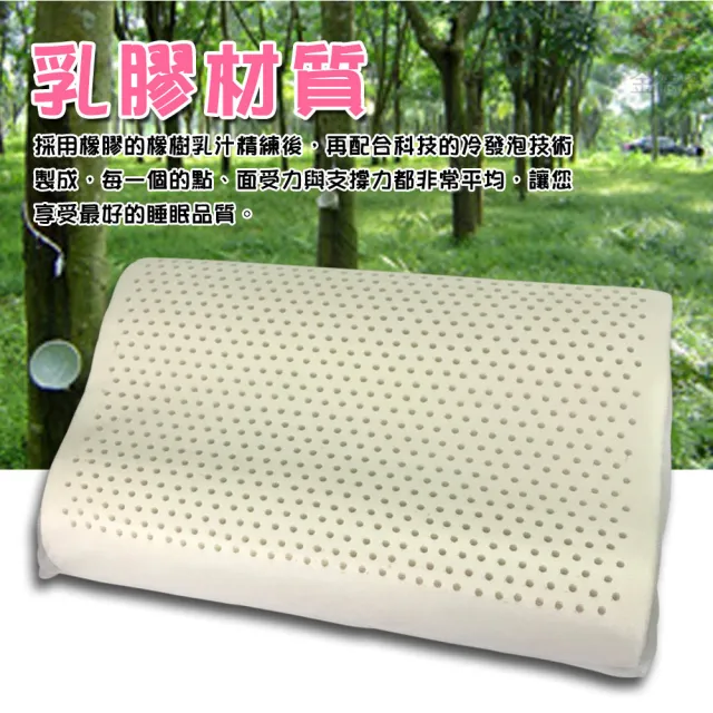 【金德恩】曲線型透氣舒眠乳膠枕63x41cm(彈性枕 透氣枕 乳膠枕 護頸枕 釋壓枕 枕頭)