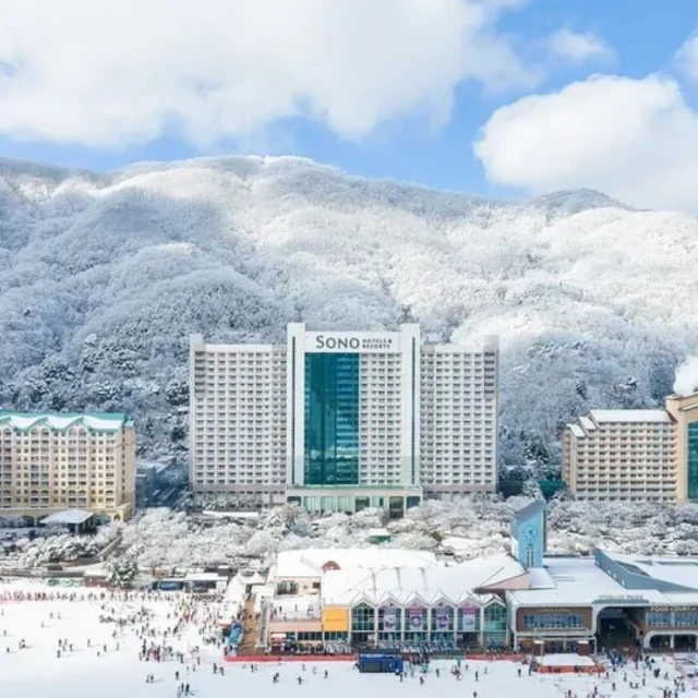 洪川大明SONO滑雪度假村 首爾滑雪兩天一夜★贈冰雪樂園門票(3歲以下兒童免費)