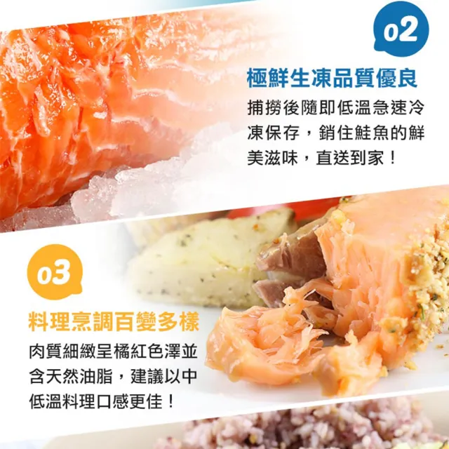 【愛上海鮮】鮮凍智利鮭魚菲力6包組(180g±10%/包)