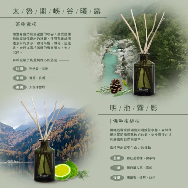 【mo select】植萃精油天然柳枝擴香 180ml(居家香氛/精油擴香/精美禮物)