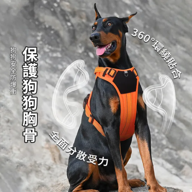 【Bayler】狗狗防爆衝胸背帶 附牽引繩 背心式夜間反光胸背 中大型犬可調節 遛狗牽繩 寵物外出