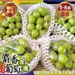 【WANG 蔬果】韓國麝香葡萄4kgx1箱(5-6串/箱 原裝箱)