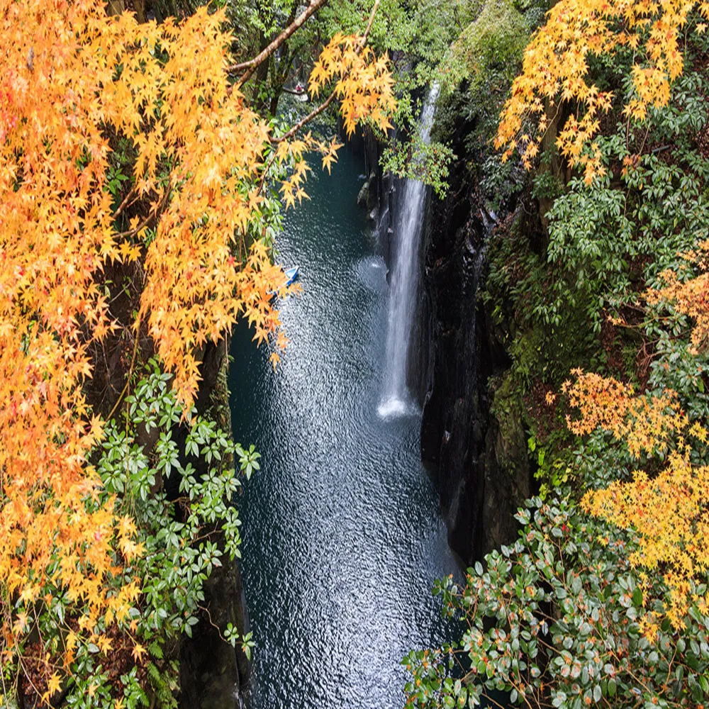 【喜鴻假期】【神話楓紅南九州５日】熊本城、指宿砂浴、抹茶DIY、高千穗、櫻島渡輪、宮崎海岸