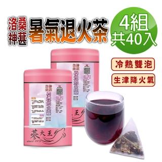 【參大王】洛神桑葚暑氣退火茶包X4組（6gX10入/組）(長效期版 桑椹生津聖品 冷熱雙泡 清爽降火氣)