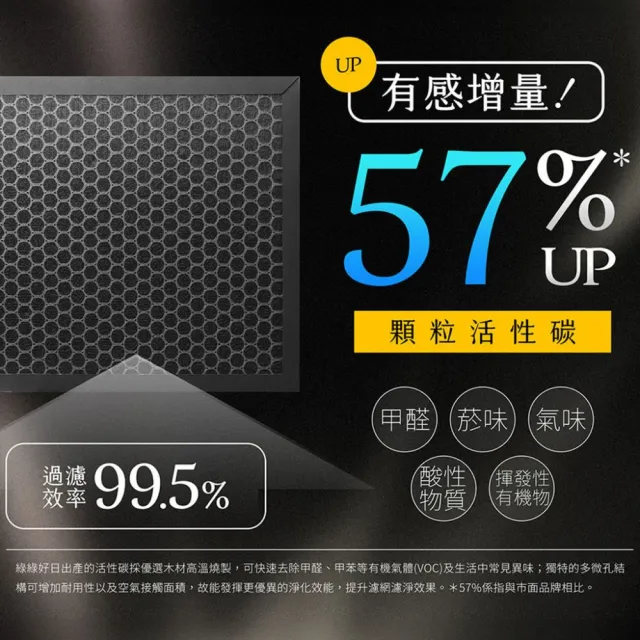 【綠綠好日】適用Coway AP-1019C 積木機 完美雙禦空氣清淨機(兩年份濾網組 HEPA抗菌濾芯 蜂巢顆粒活性碳)