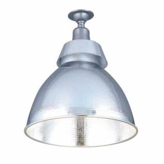 【DanceLight 舞光】1入組 E40 100W 天井燈(高天井燈 大瓦燈泡 斗笠燈 工廠用燈具)