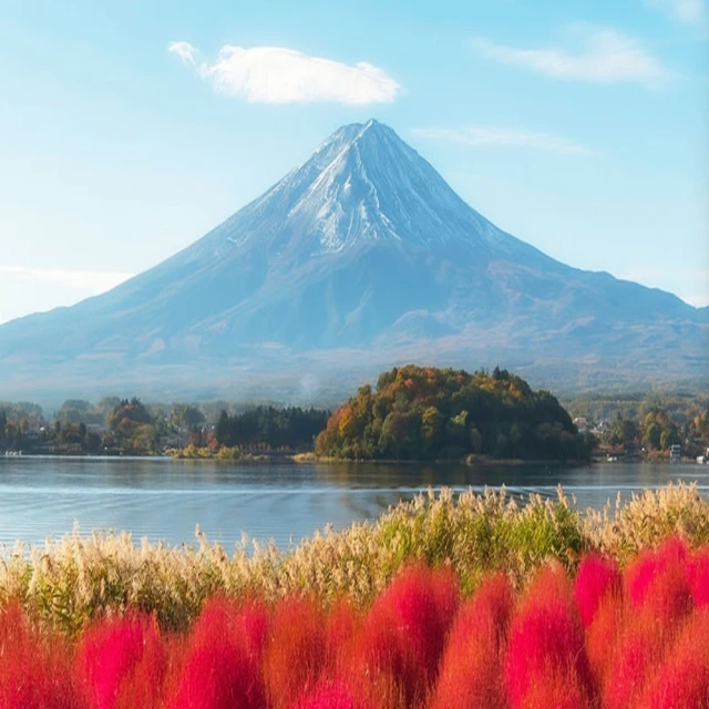 喜鴻假期 【河口湖紅葉祭．秋楓東京５日】明治神宮外苑銀杏、富士楓葉、夢幻波波草、箱根遊船、迪士尼