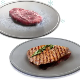 【SILWA 西華】節能冰霸極速解凍+燒烤兩用盤(台灣製造)