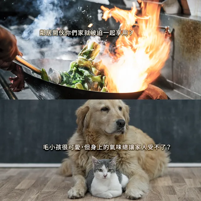 【Electrolux 伊萊克斯】PA91-406/EP71-56 清淨機系列專用活性碳淨味抗菌濾網組(EFDFRH4-22坪以內空間適用)