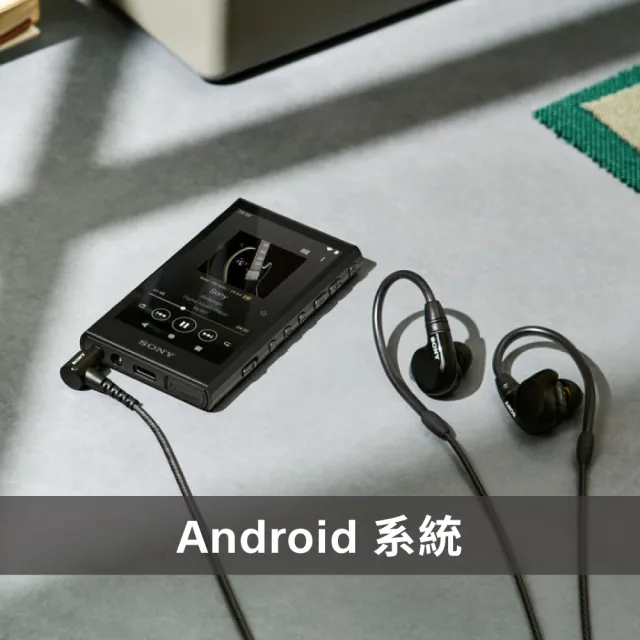 【SONY 索尼】NW-A306(可攜式音訊播放器 Walkman 數位隨身聽)