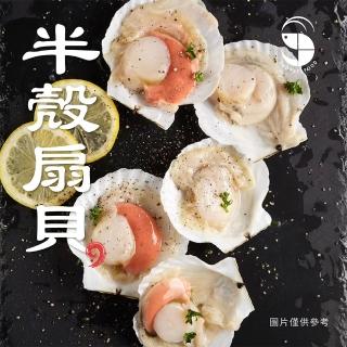 【蝦拼海鮮】凍煮半殼扇貝｜10P