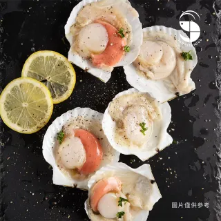 【蝦拼海鮮】凍煮半殼扇貝550g(10顆/包)