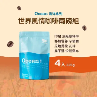 即期品【江鳥咖啡】世界風情咖啡豆綜合風味4包組(225g/包;印尼女權/耶加雪菲/花神/汐碧瀑布)