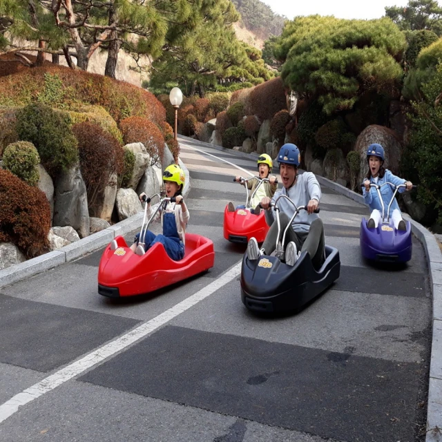 喜鴻假期 【高雄出發．秘境韓國賞楓5日】粉紅黛子草、碧草池樹