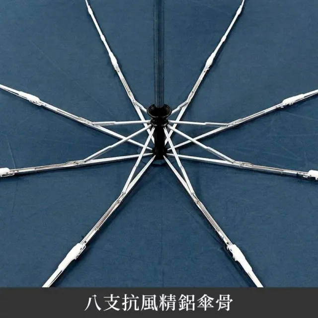 【雨傘王】BigRed將將好 8骨抗風 自動傘 折疊傘 防潑水 快乾 抗風傘骨 1-2人撐(終身免費維修*)