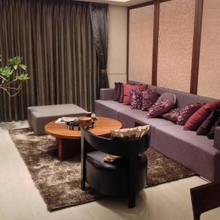 【SDL Home 山德力】ESPRIT地毯 秋原 170X240cm(德國品牌 長毛 棕色)