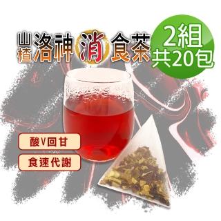 【參大王】山楂洛神消食茶包X2組（6gX10入/組）(去油順暢 增加飽足感 養顏美容 應酬聚餐好茶)