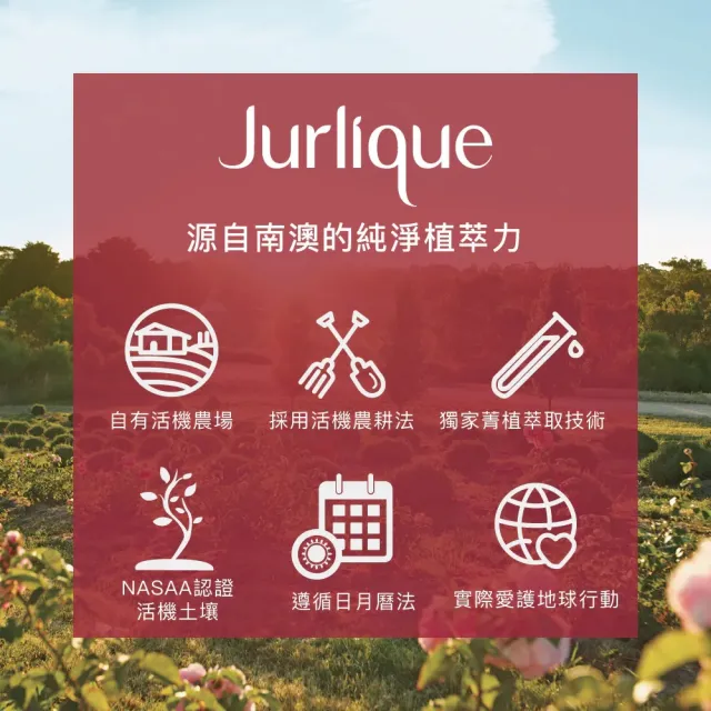 【Jurlique 茱莉蔻】2024玫瑰護手霜純萃凝香限量版75ml