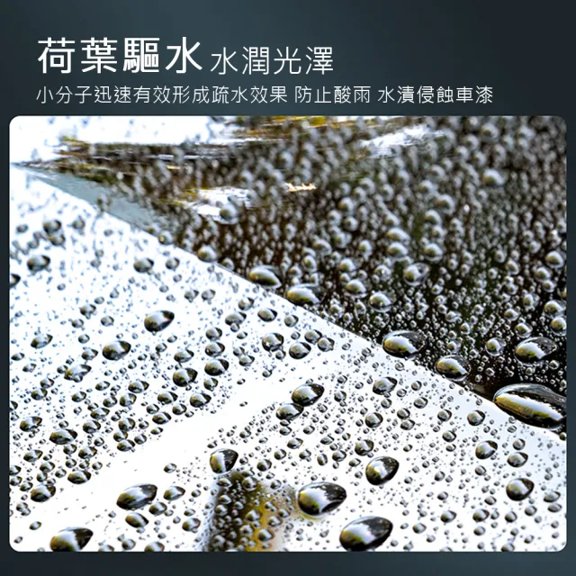 【西格傢飾】C5水激活增亮(500ML/台灣製造/漆面維護/QD快速鍍膜維護/汽車鍍膜液)
