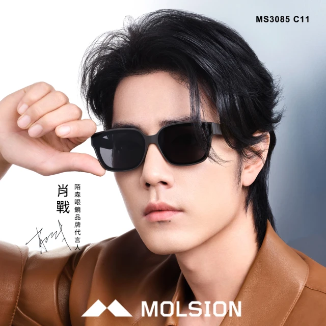 MOLSION 陌森 窄方框偏光太陽眼鏡 肖戰配戴款(深灰 深灰偏光鏡片#MS3085 C11)