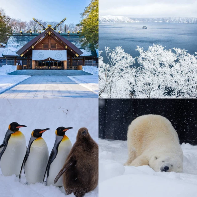 吉航旅遊 精緻假期北海道破冰船層雲峽冰瀑祭然別湖愛努冰村摩周湖小樽運河三大蟹吃到飽五日-星宇航空