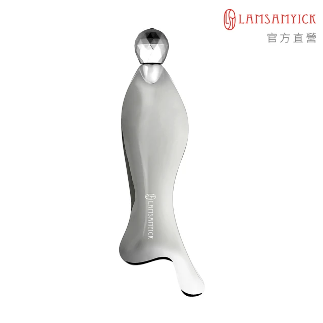 LSY 林三益 紓壓按摩器（大）(按摩紓壓、消水腫)