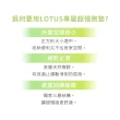 【LOTUS】台灣製避震緩衝超慢跑墊1.2公分 運動按摩2件組(緩衝降噪超慢跑墊1入+按摩筋膜球1入)